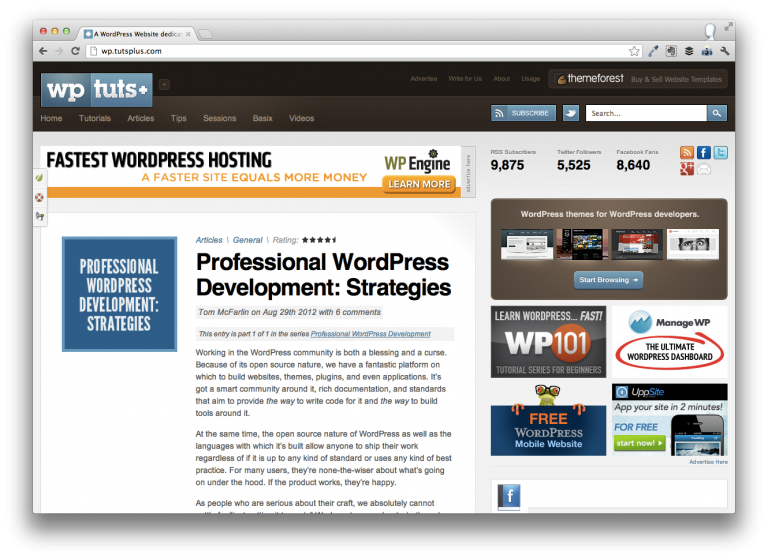 Professional WordPress Development