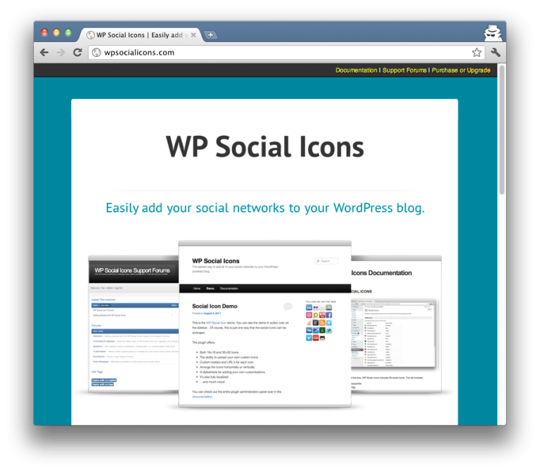 WP Social Icons