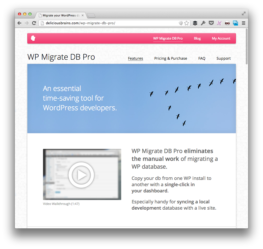 WP DB Migrate Pro