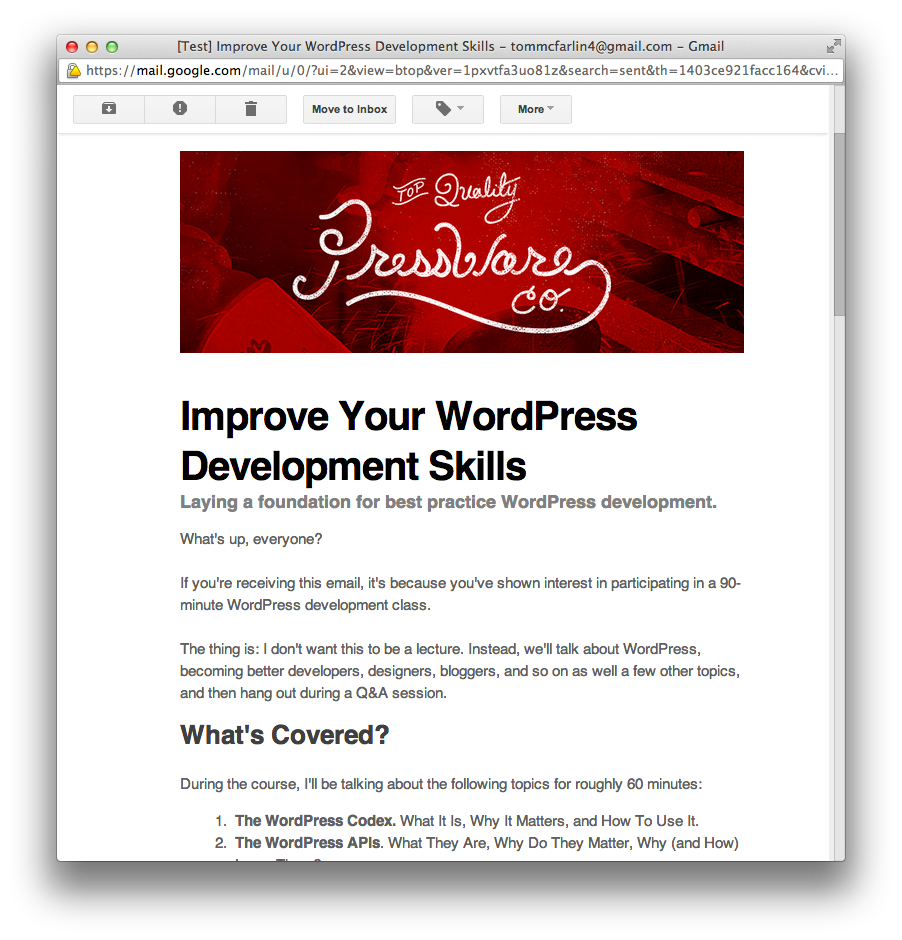 Improve Your WordPress Development Skills Newsletter