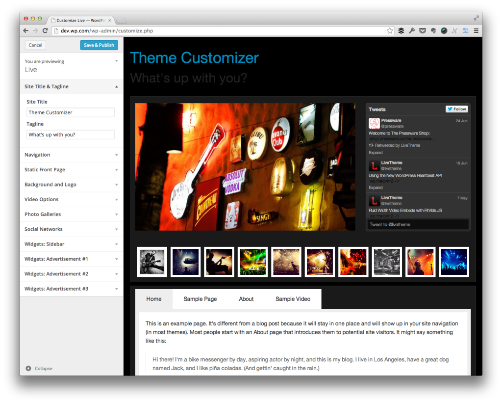 The WordPress Theme Customizer