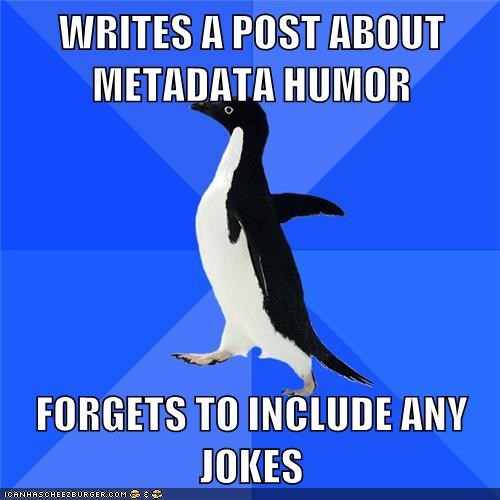 Writes a Post About Meta Data Humor