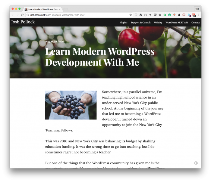 WordPress Development With the REST API