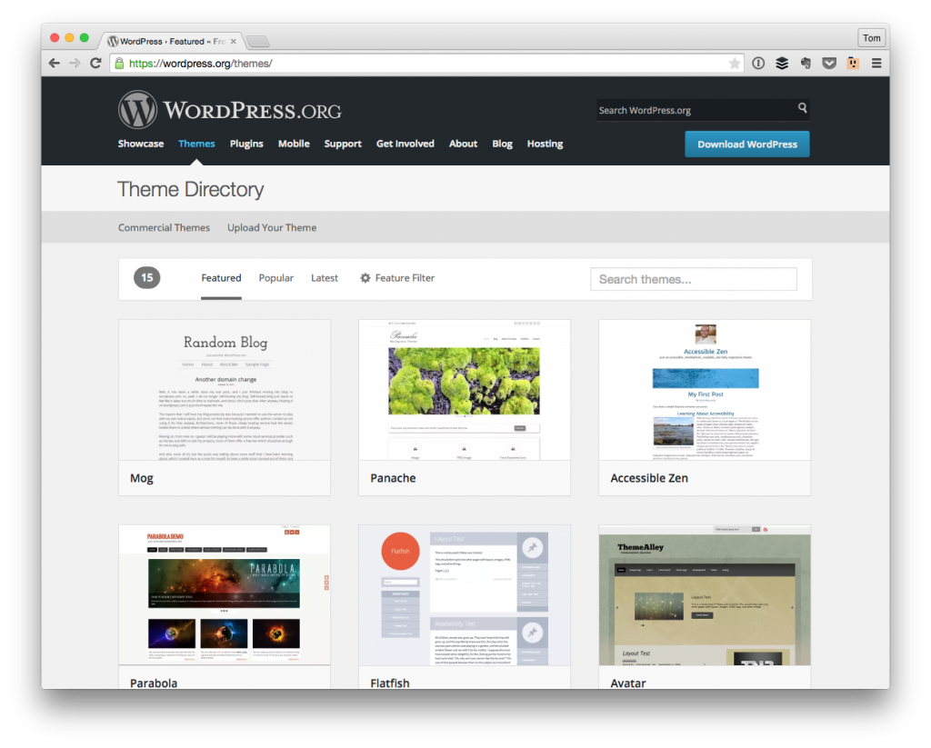 WordPress Themes