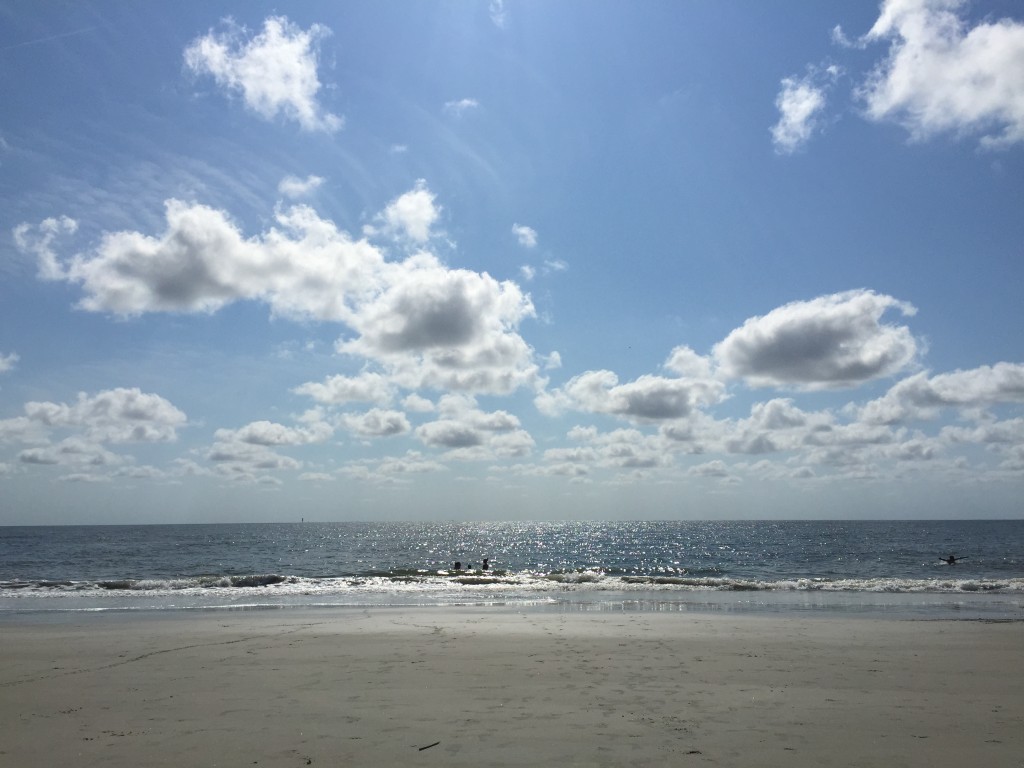 A view of the Atlanta Ocean from Tybee Island