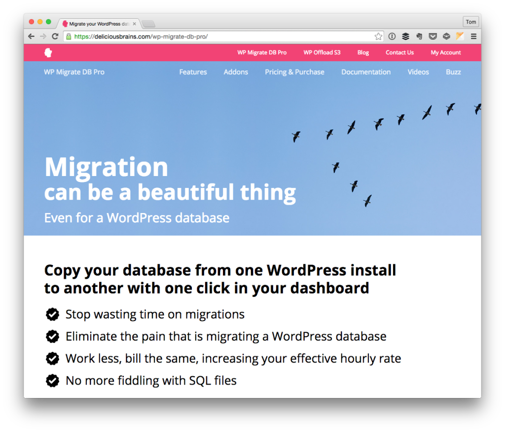 WP Migrate DB