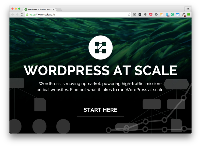 Scaling WordPress