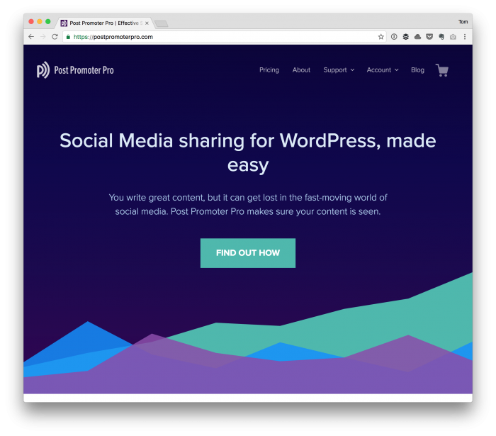 Promoting WordPress Products with Post Promoter Pro