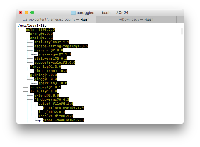 homebrew node