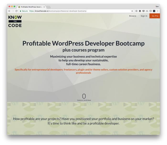 WordPress Developer Bootcamp