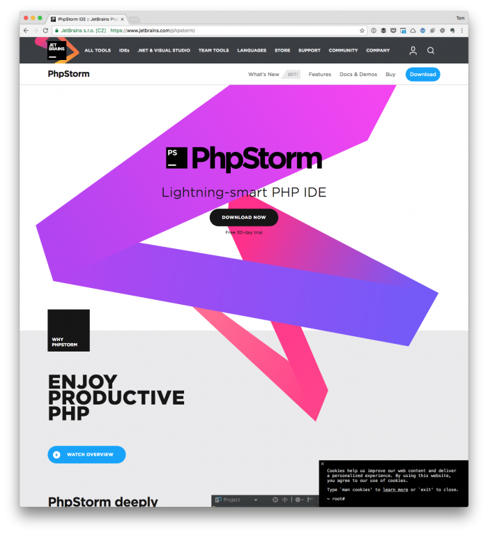 phpstorm wordpress live preview