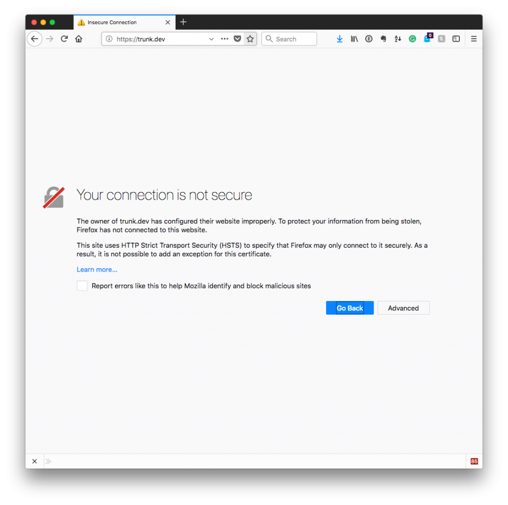 Changing Valet's Top-Level Domain: Firefox Security Exception