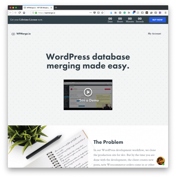 wordpress database